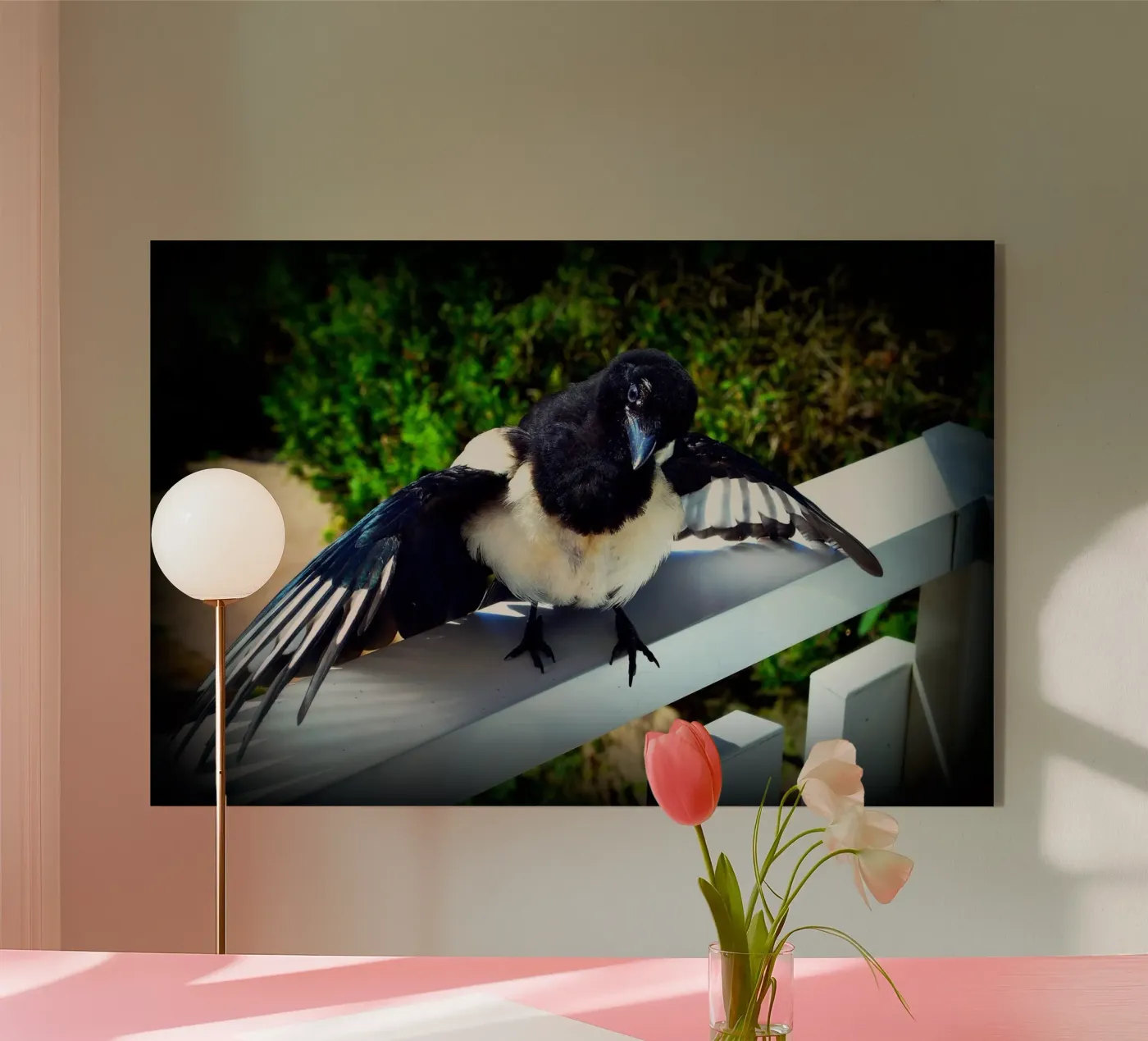 FAA17 Acryl-Glas von Thierry vobmann photography