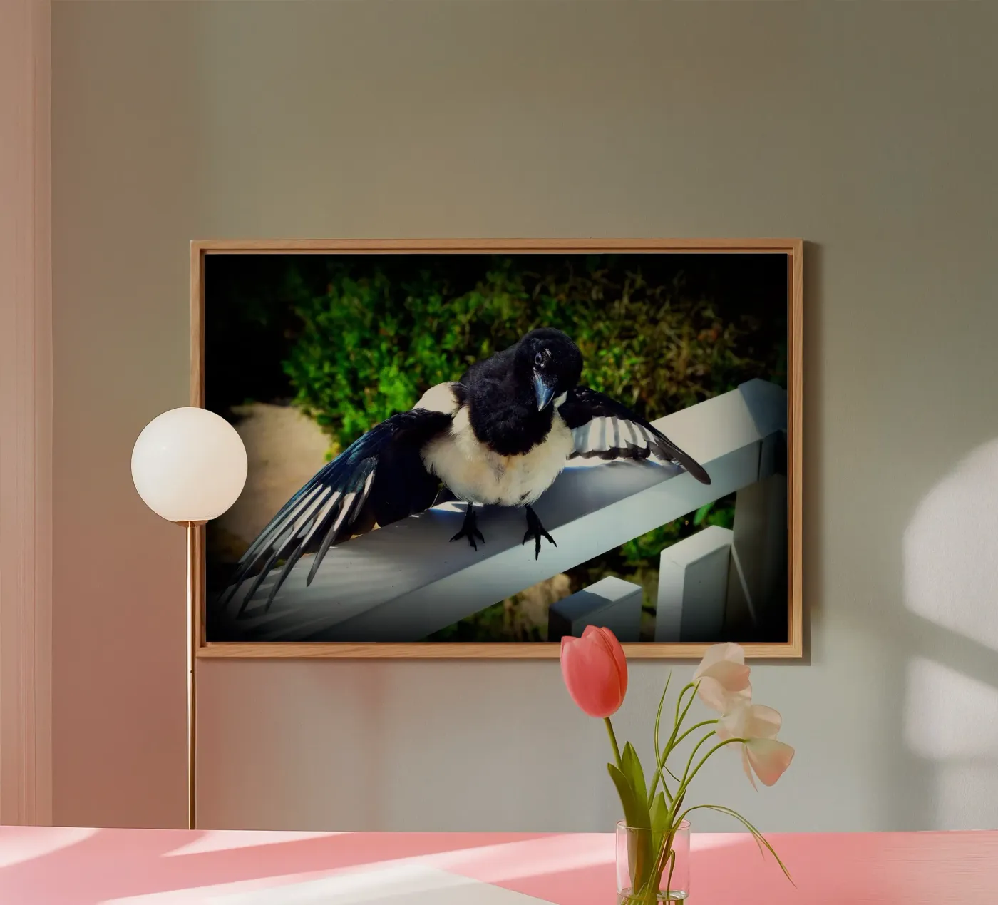 FAA17 forex plate by Thierry vobmann photography