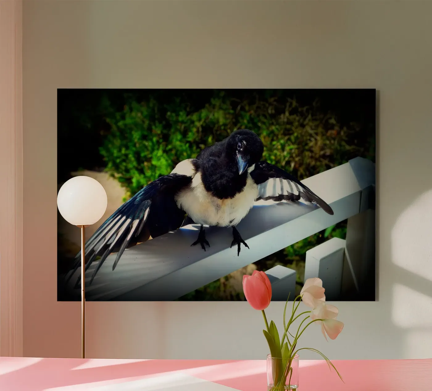 FAA17 forex plate by Thierry vobmann photography