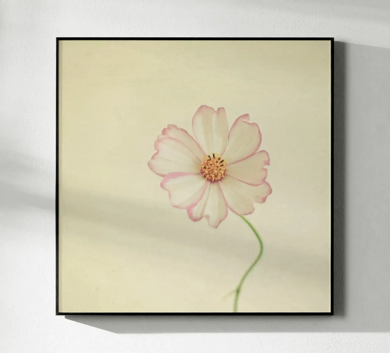 Vicino a te plexiglass da Cassia Beck Photography