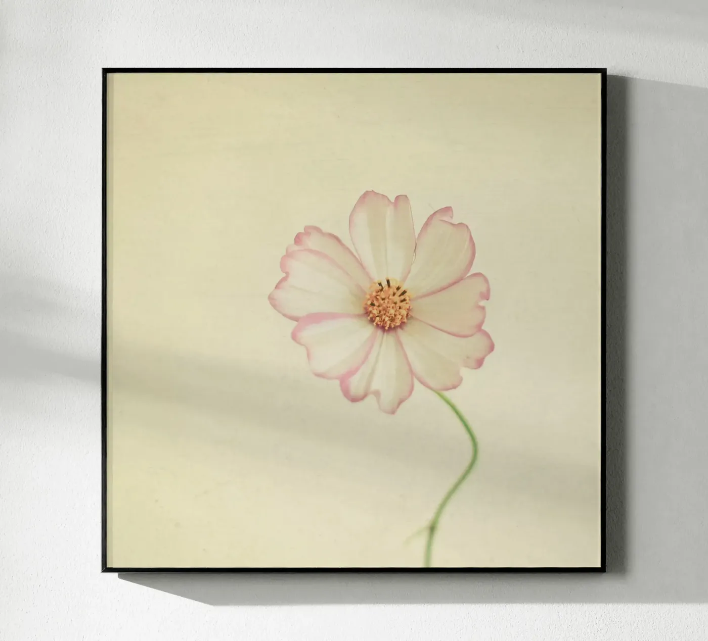 Vicino a te plexiglass da Cassia Beck Photography