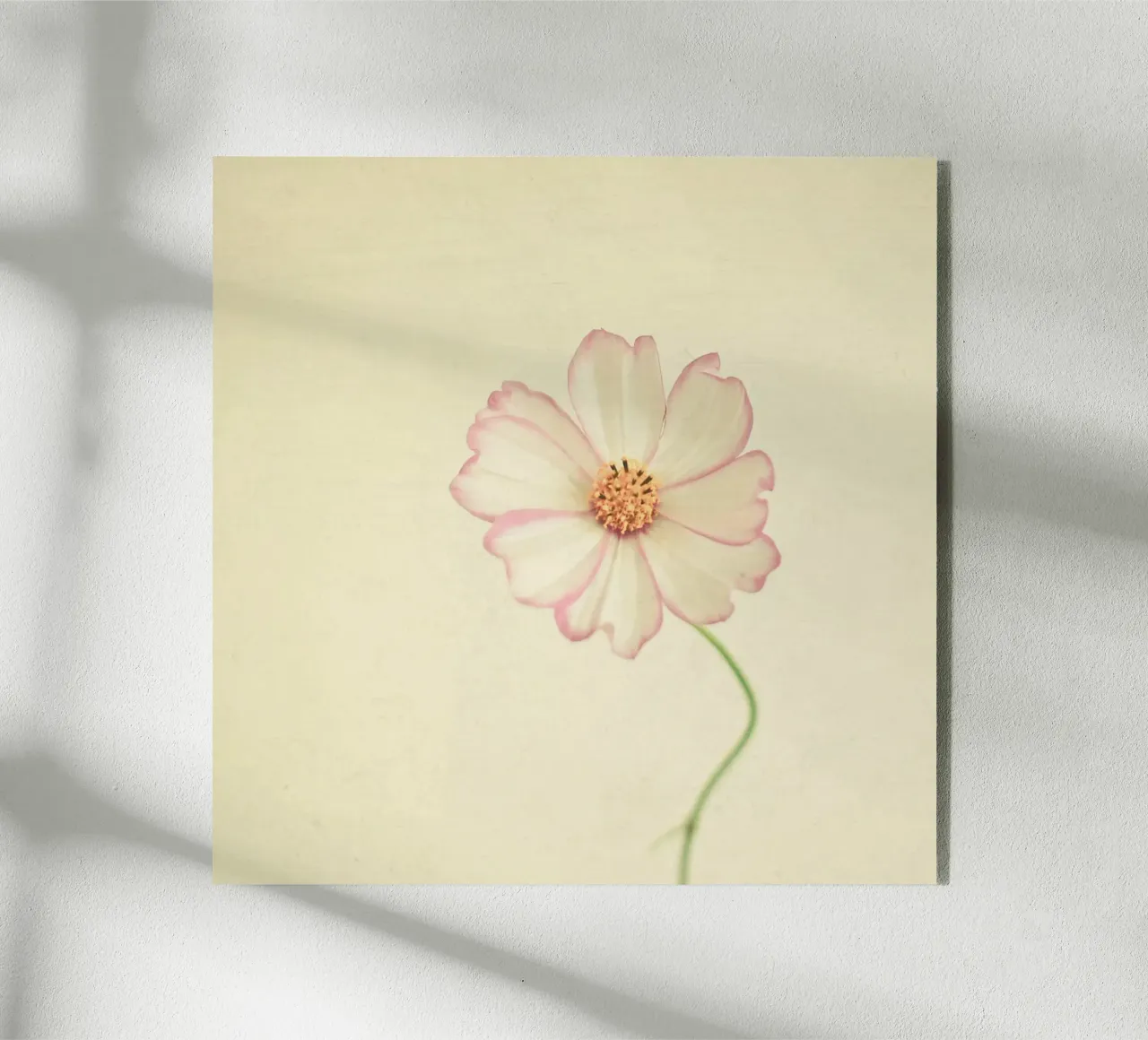 Vicino a te plexiglass da Cassia Beck Photography