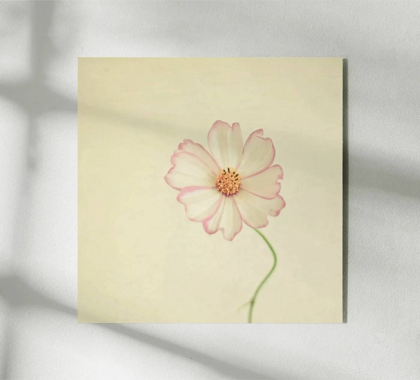 Vicino a te plexiglass da Cassia Beck Photography