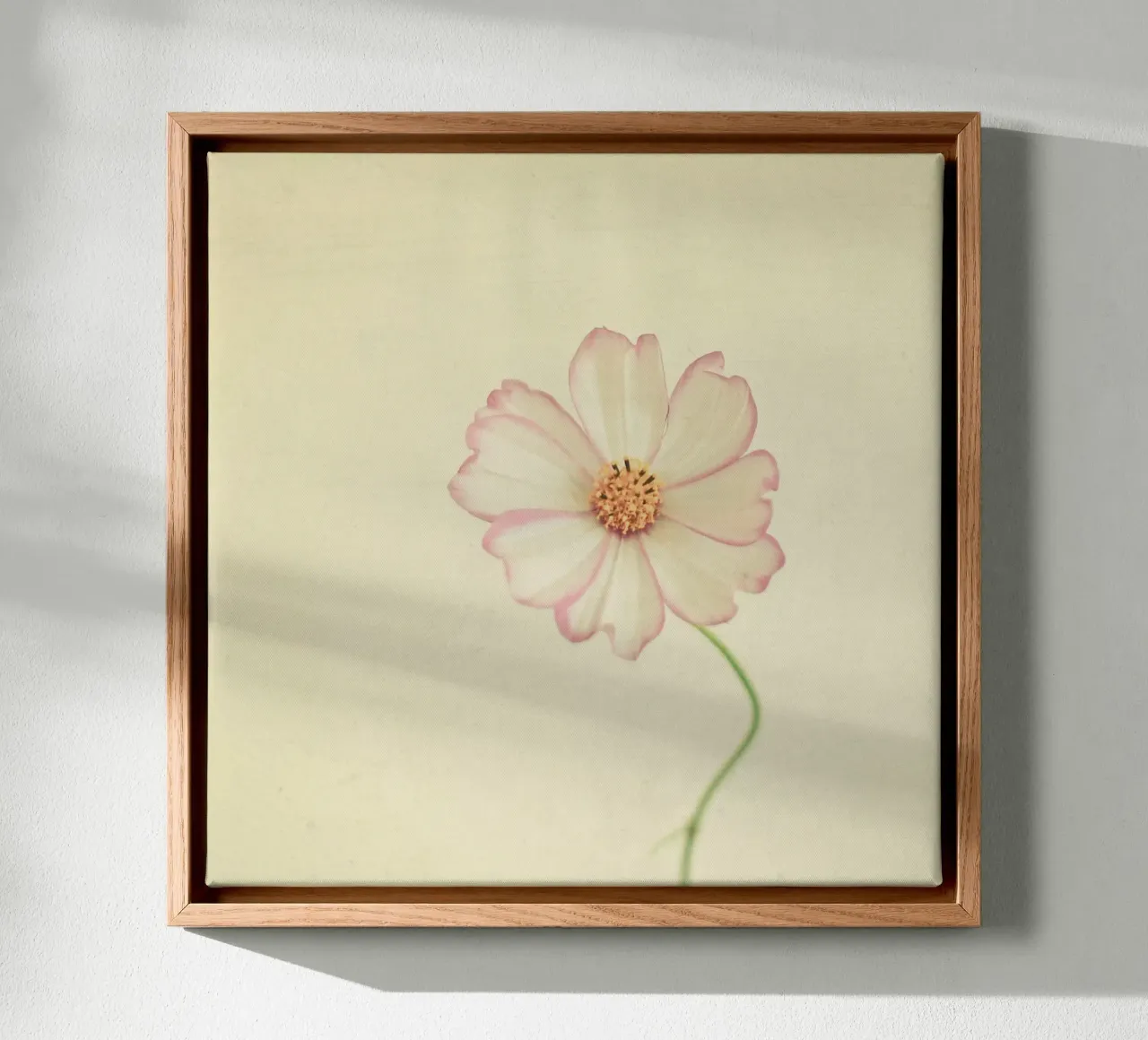 Close to You canvas with Floater frame by Cassia Beck Photography