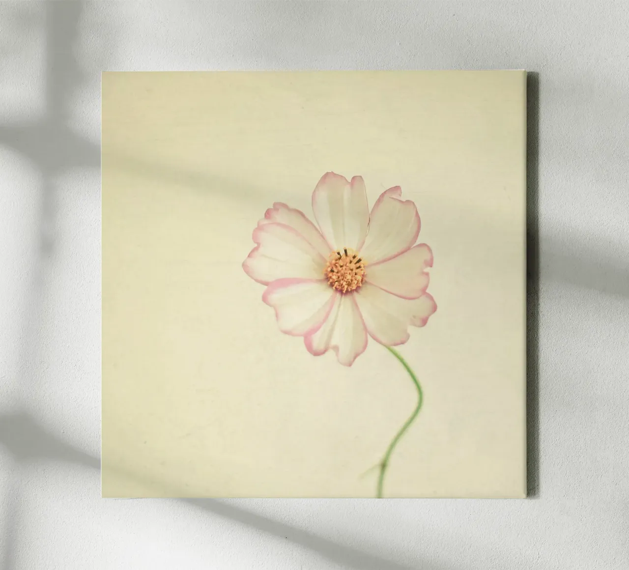 Close to You canvas with Floater frame by Cassia Beck Photography