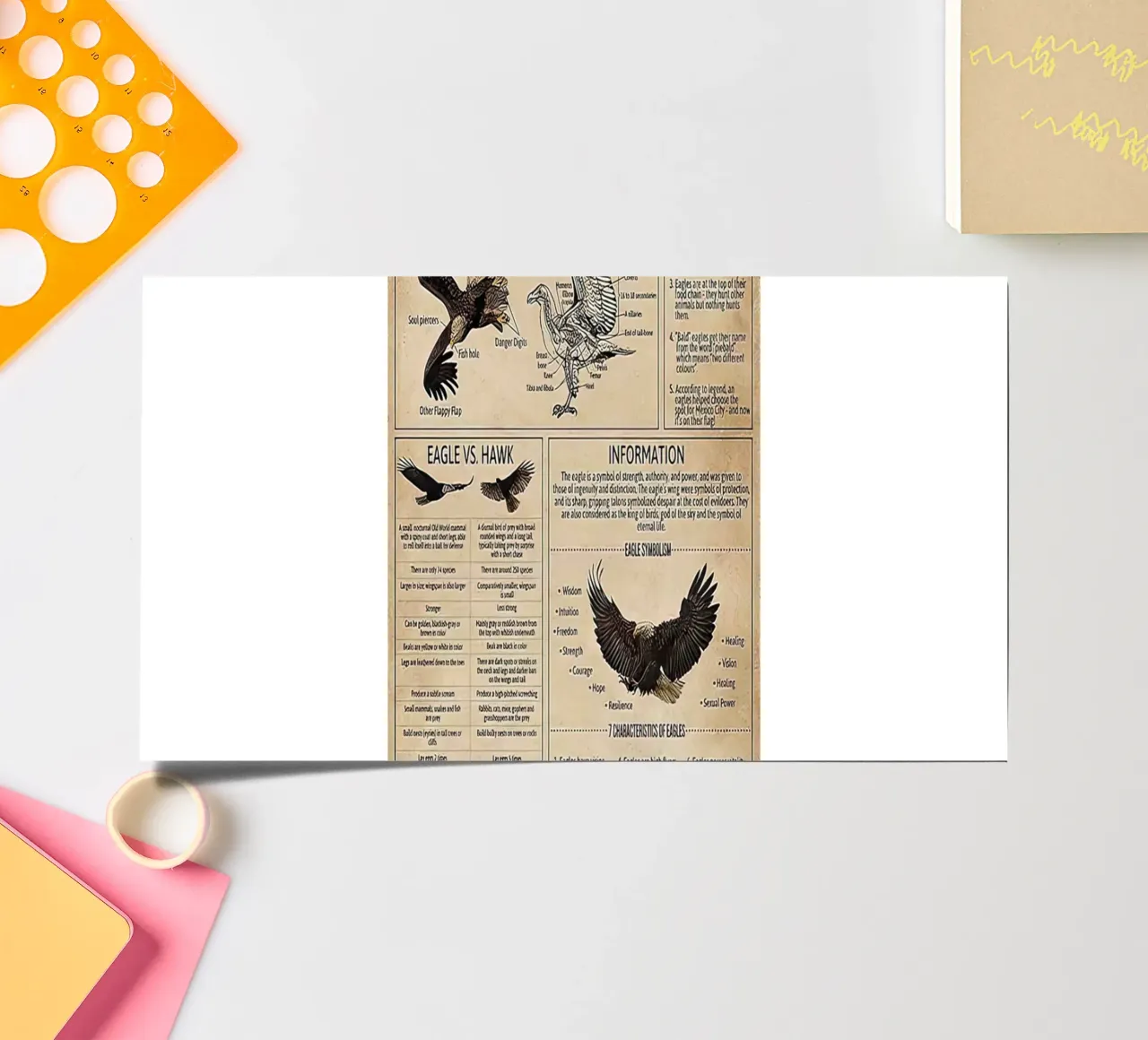 Bird Knowledge sticker sheet by Maritiknowled