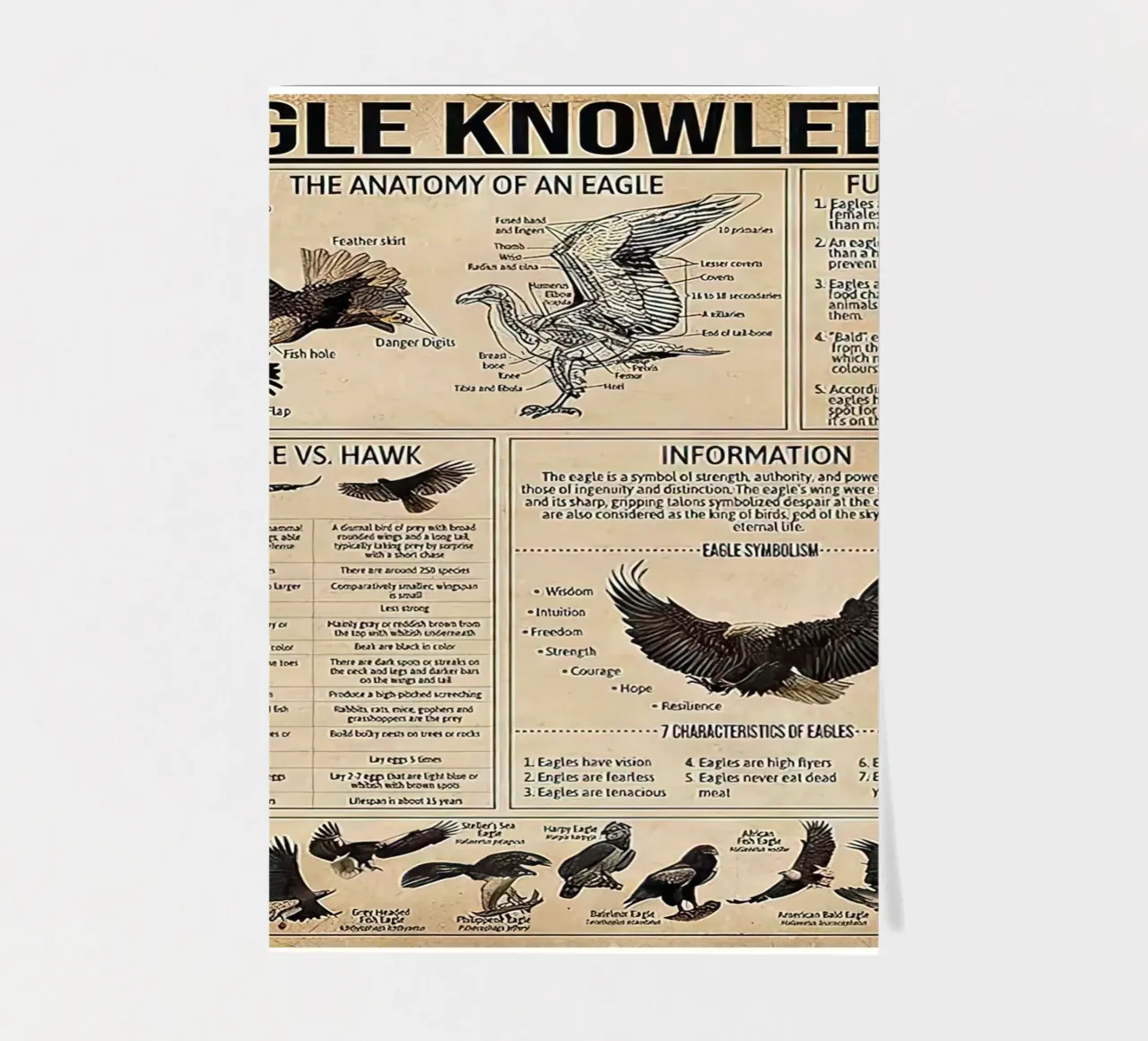 Bird Knowledge sticker sheet by Maritiknowled