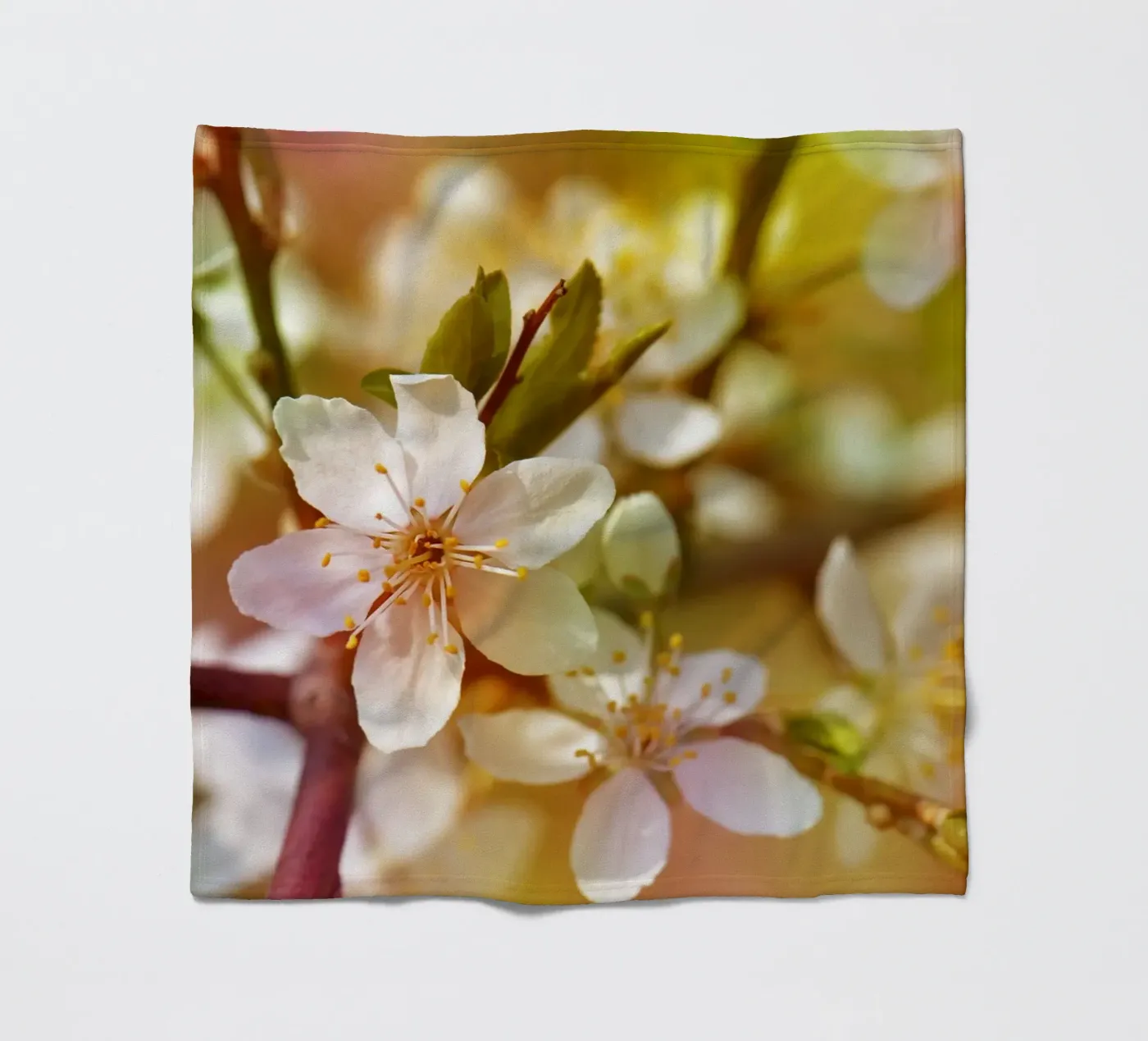 primavera coperta in pile da Atteloi Fotografie
