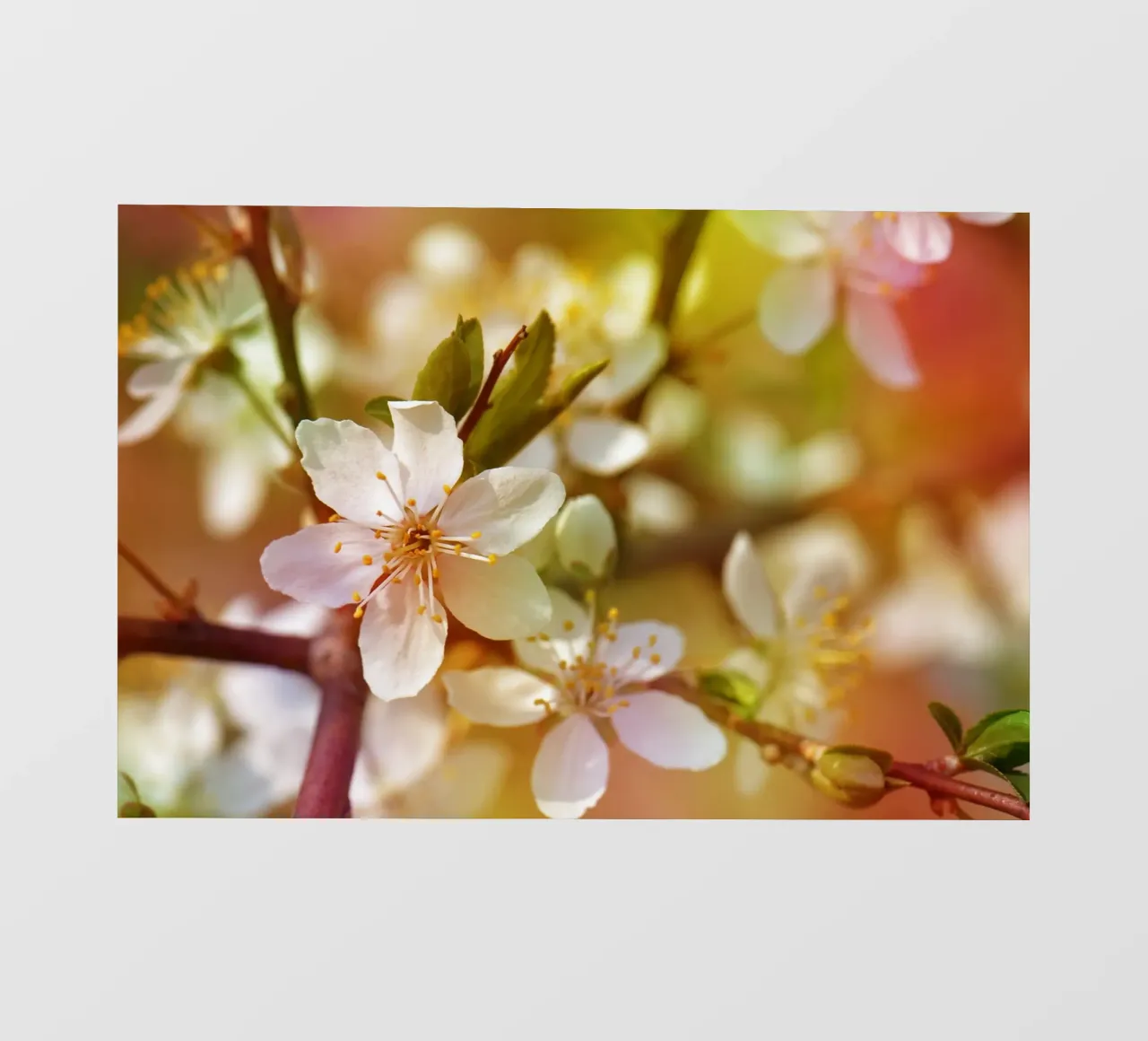 Lente fotobehang van Atteloi Fotografie