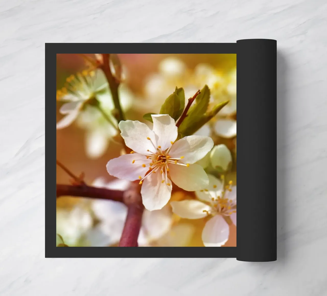 primavera zerbino da Atteloi Fotografie