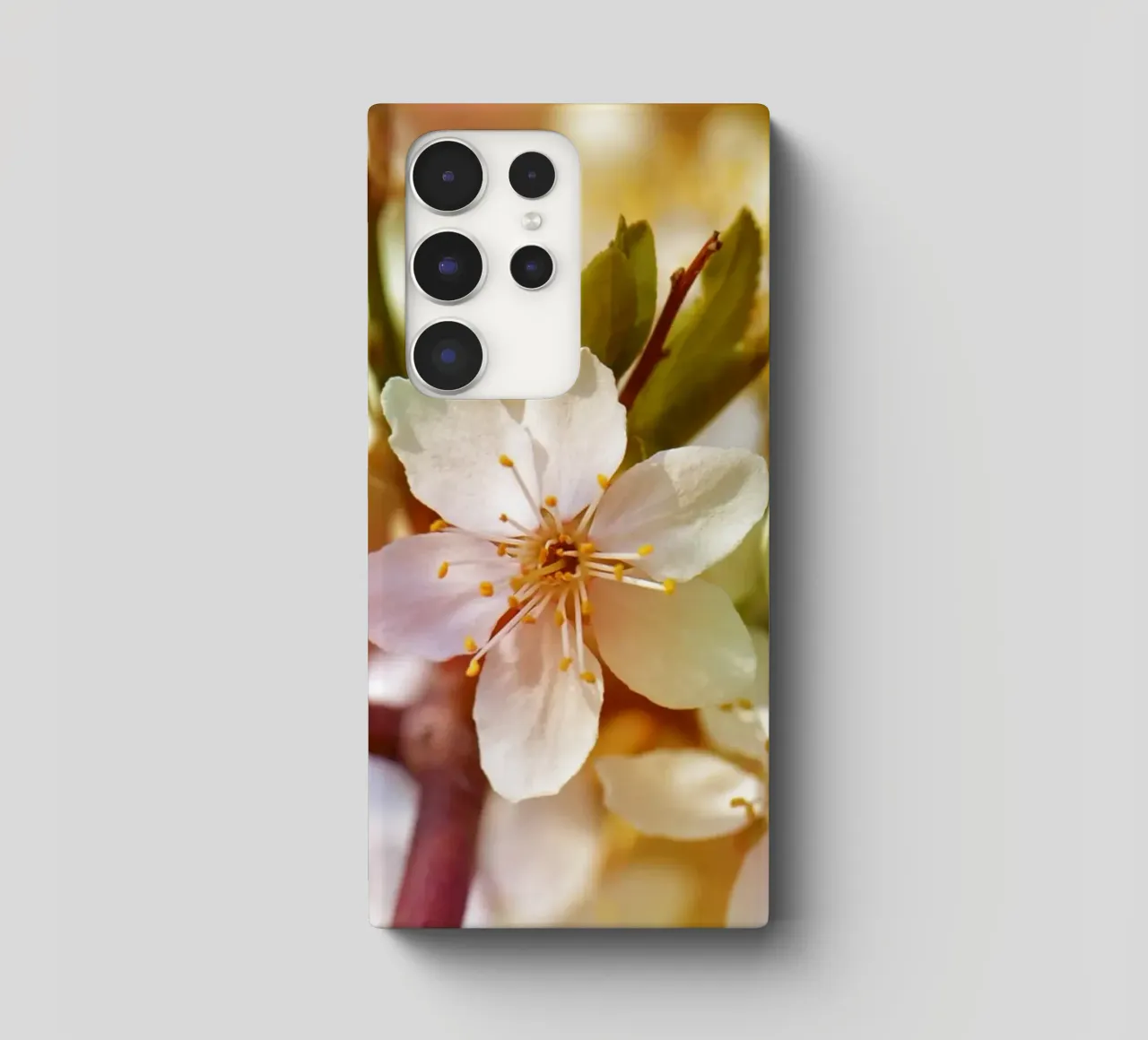 spring cover samsung da Atteloi Fotografie