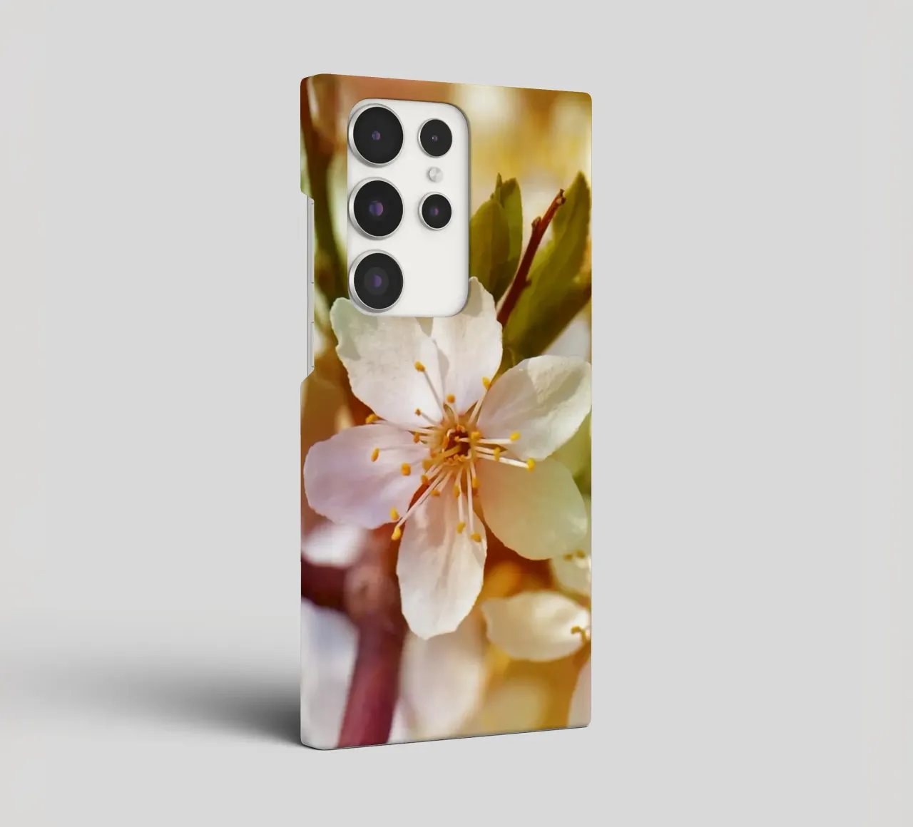 spring cover samsung da Atteloi Fotografie