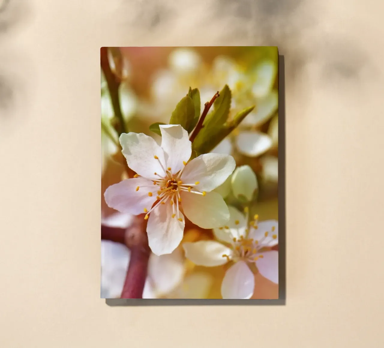 spring notebook by Atteloi Fotografie