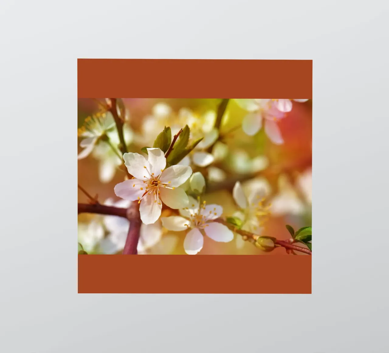 spring sticker by Atteloi Fotografie