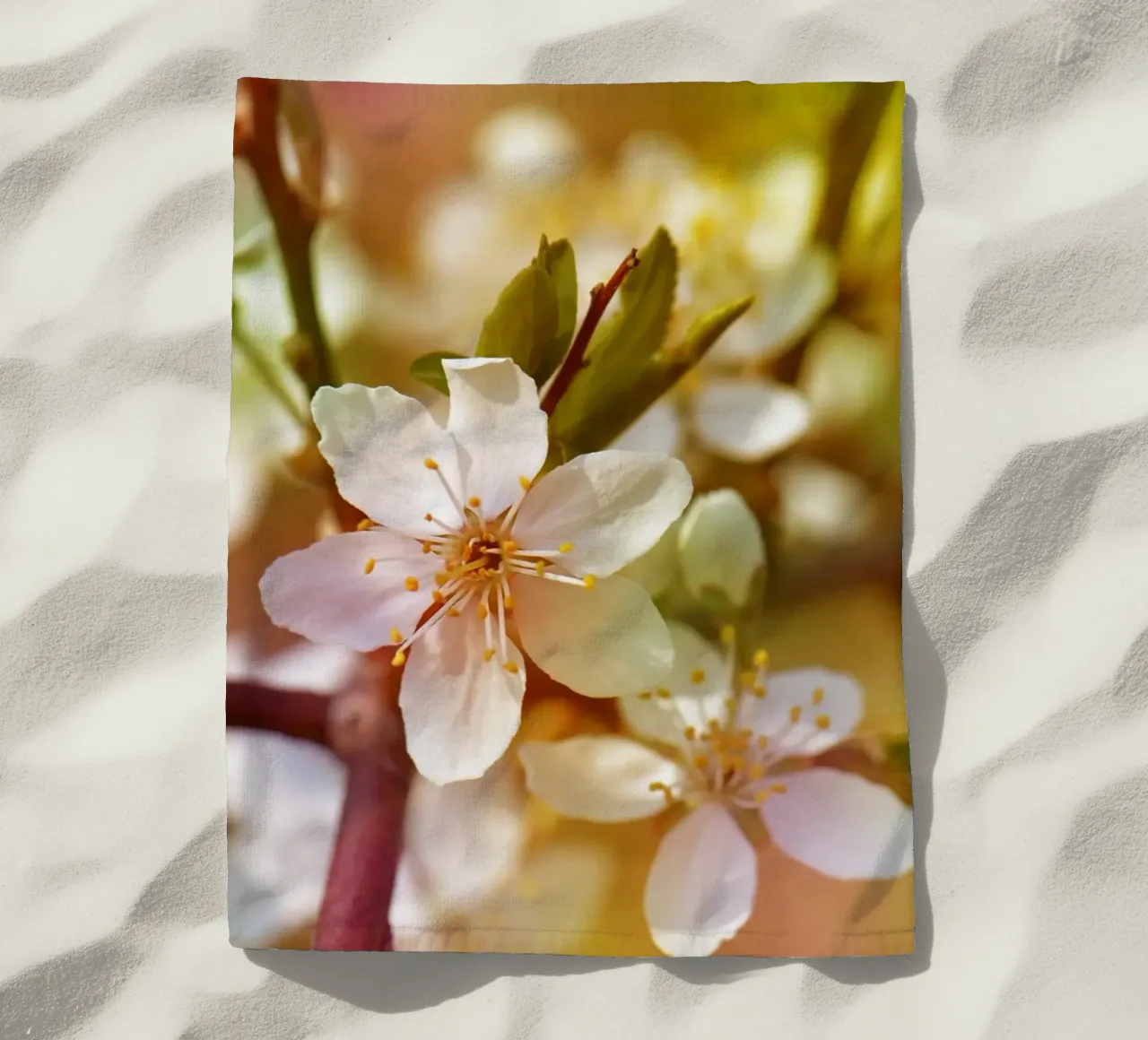 primavera telo mare da Atteloi Fotografie