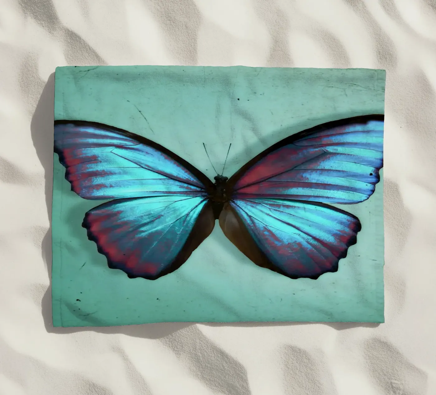 Papillon serviette de plage de Eva Nev Photography