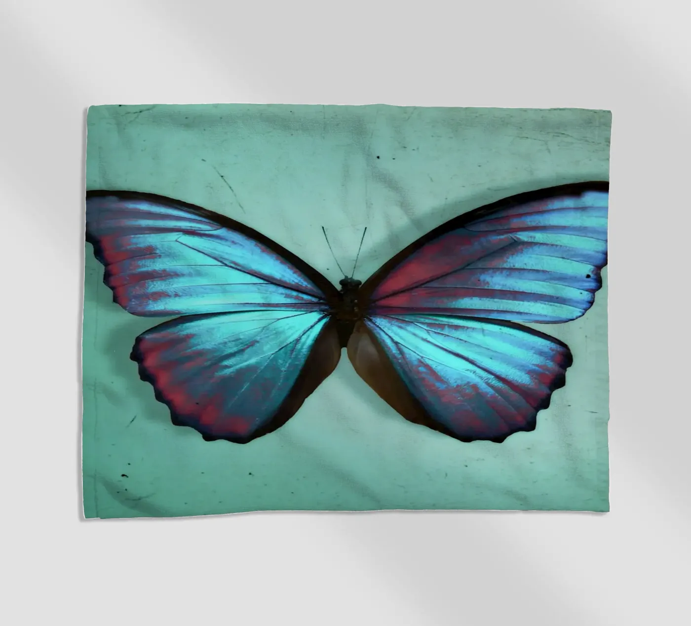 Farfalla telo mare da Eva Nev Photography