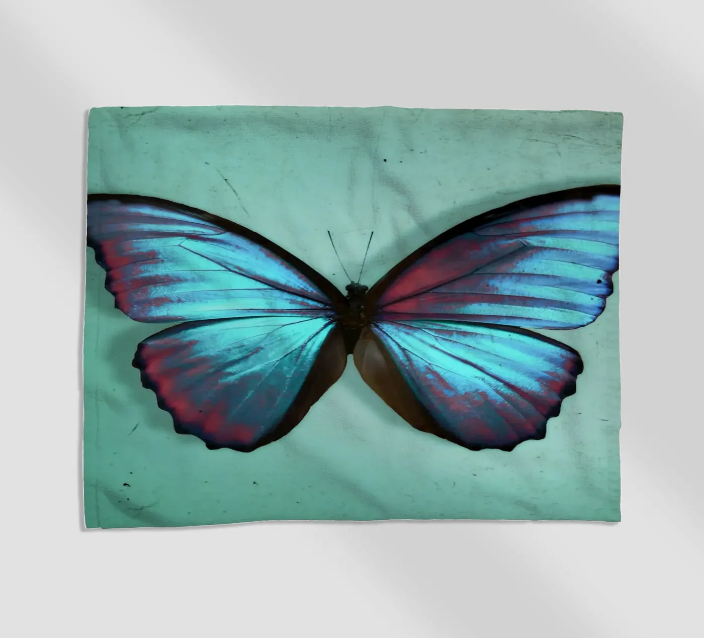 Papillon serviette de plage de Eva Nev Photography