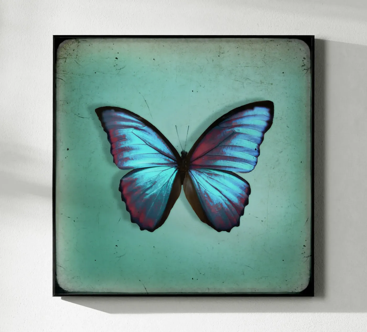 Butterfly acryl van Eva Nev Photography