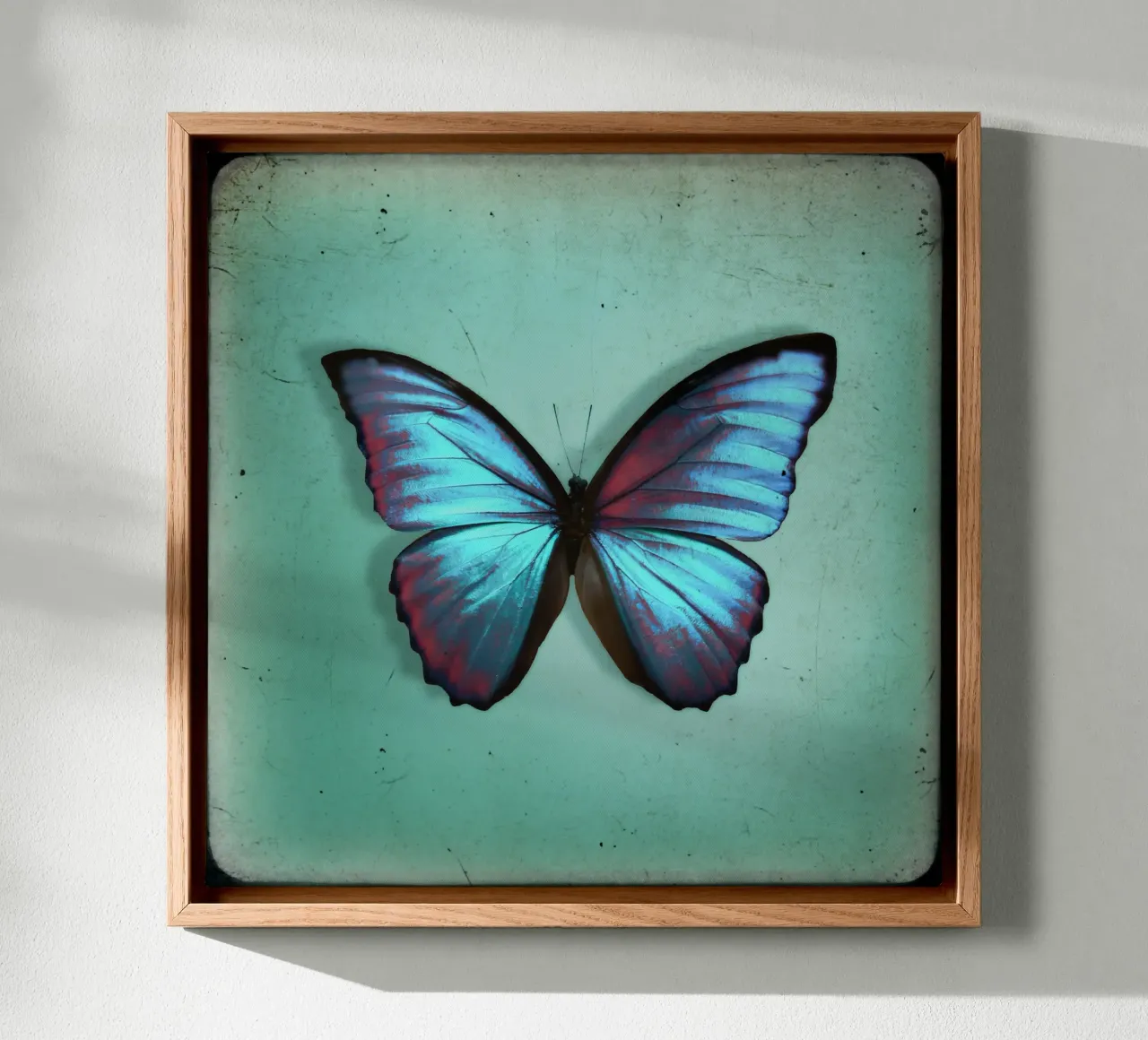 Farfalla tela da Eva Nev Photography