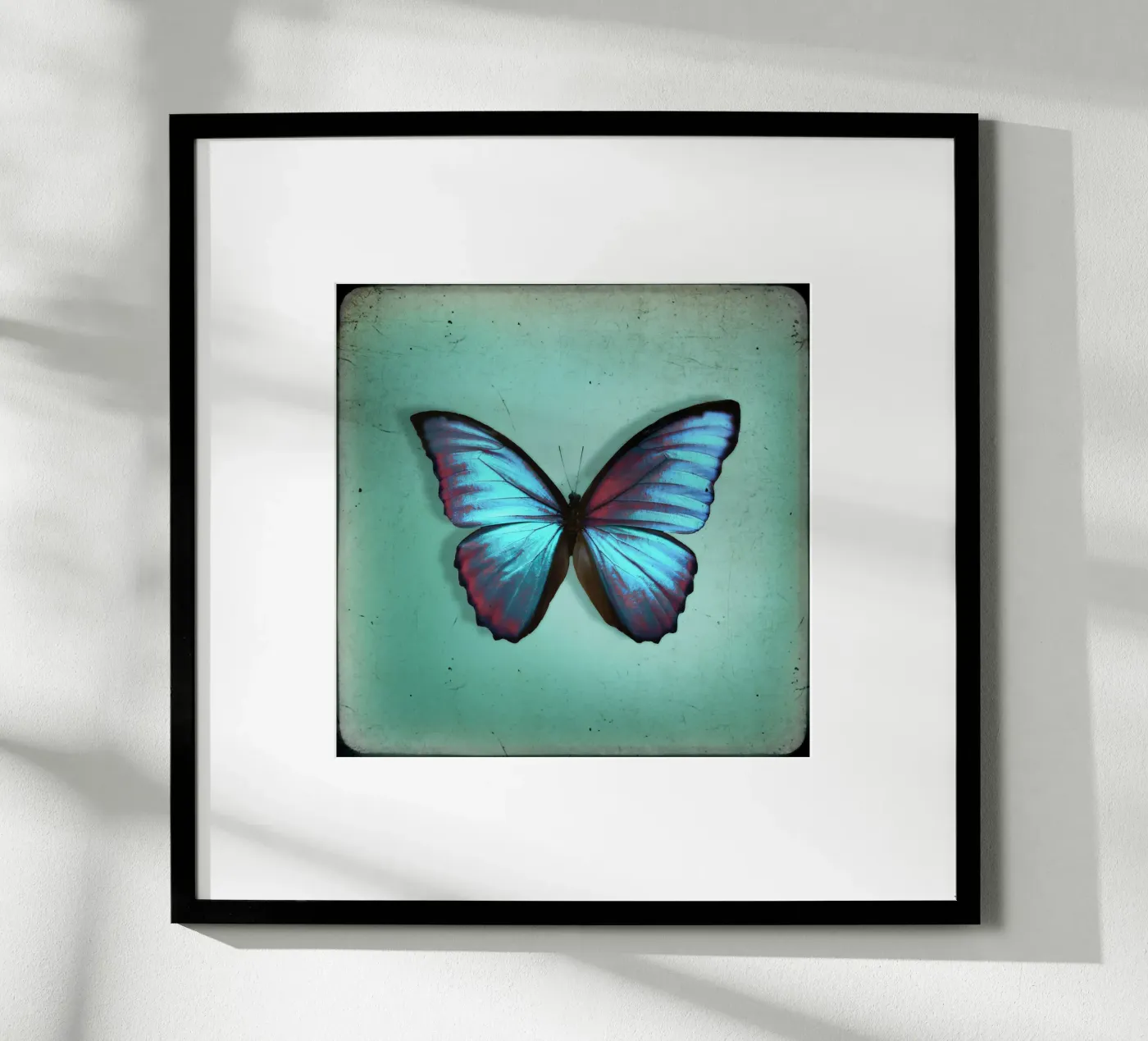 Butterfly poster de Eva Nev Photography