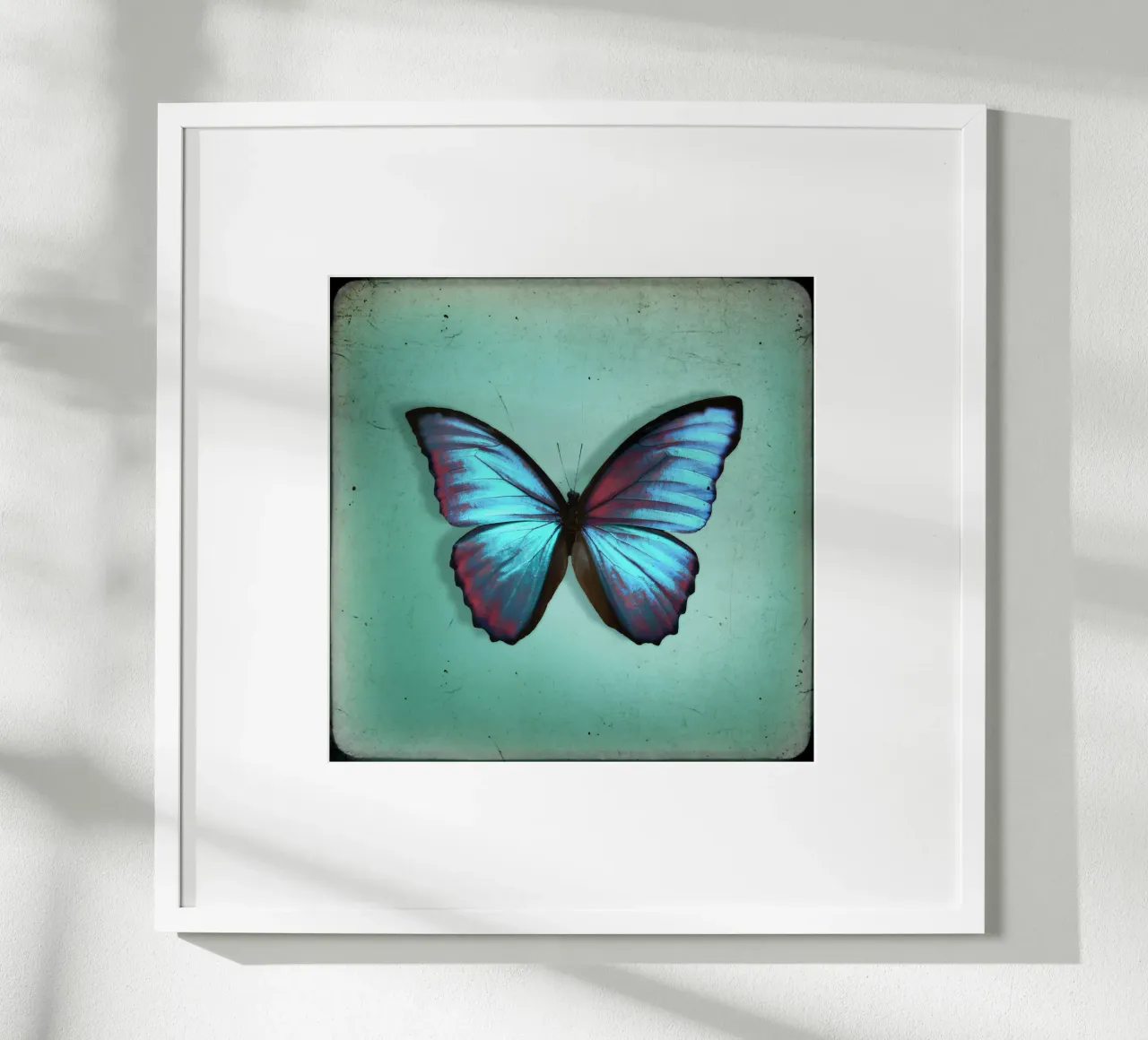 Farfalla poster da Eva Nev Photography