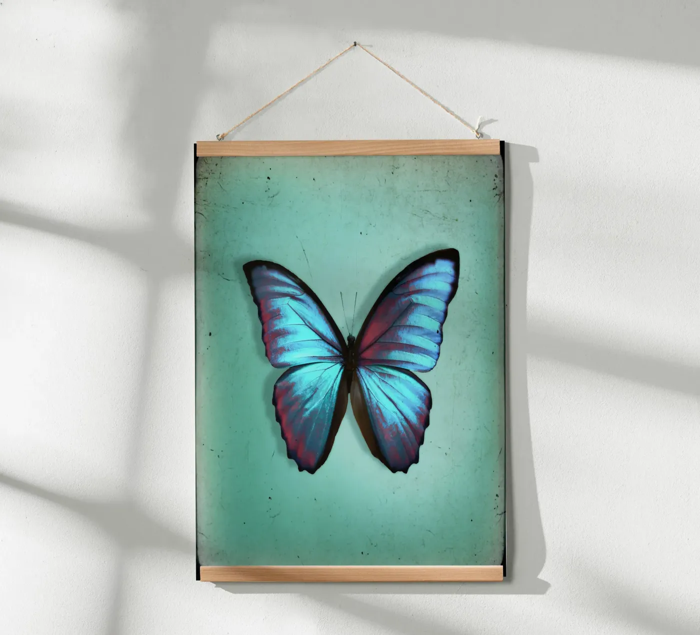 Butterfly poster de Eva Nev Photography