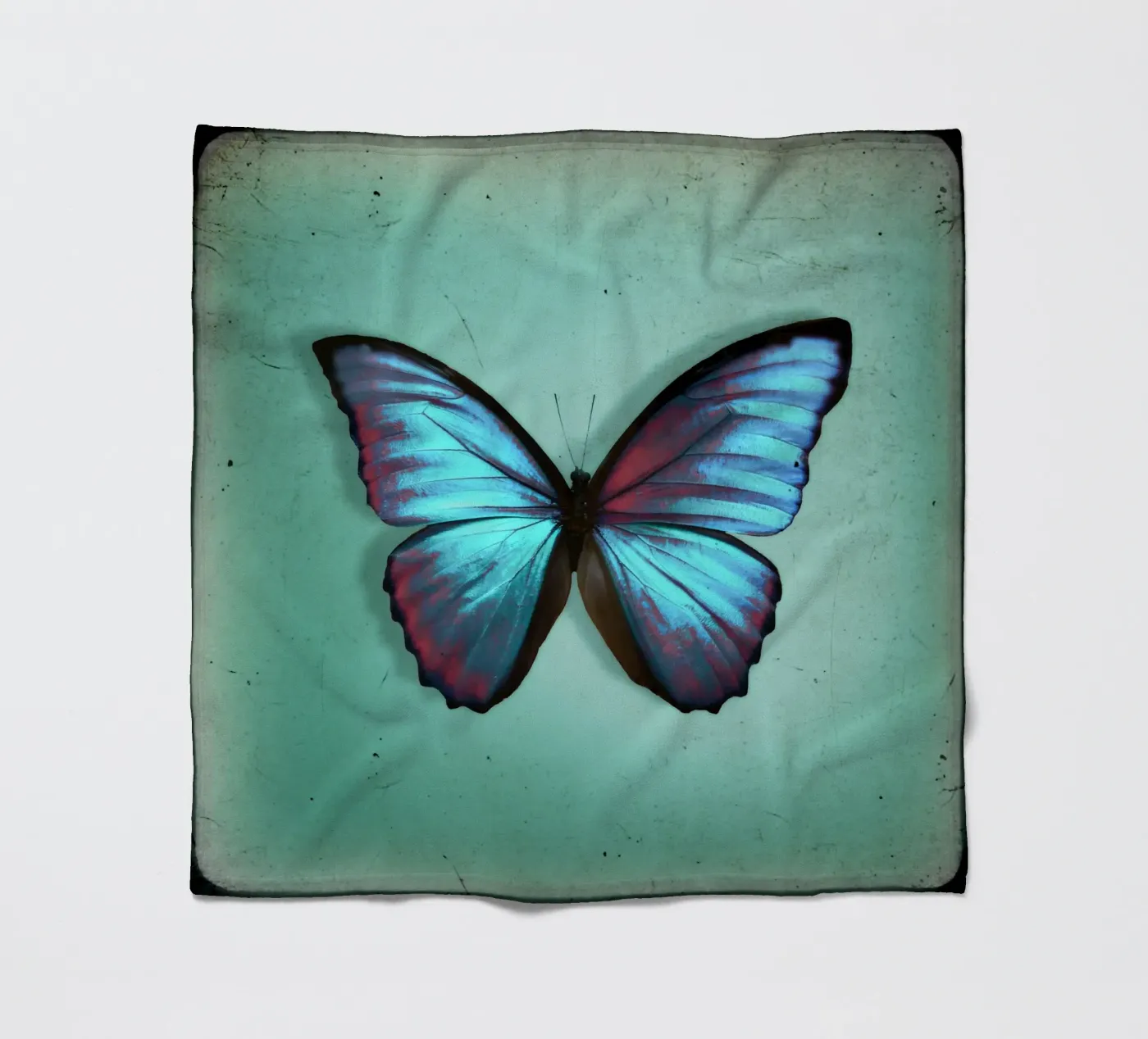 Farfalla coperta in pile da Eva Nev Photography