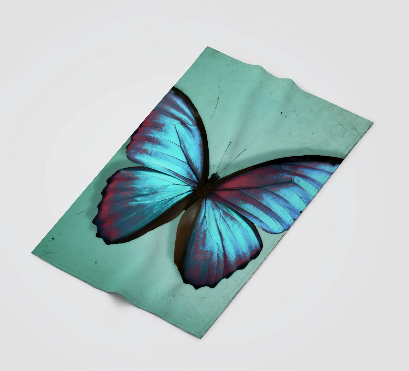 Farfalla coperta in pile da Eva Nev Photography