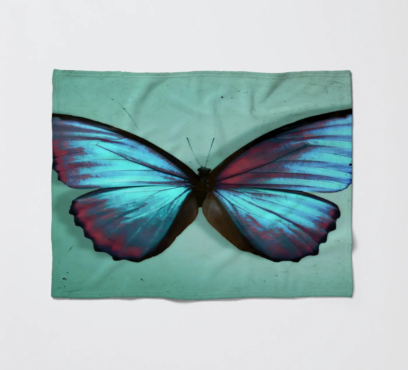 Farfalla coperta in pile da Eva Nev Photography