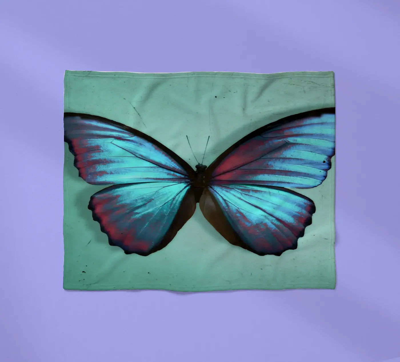 Farfalla coperta in pile da Eva Nev Photography
