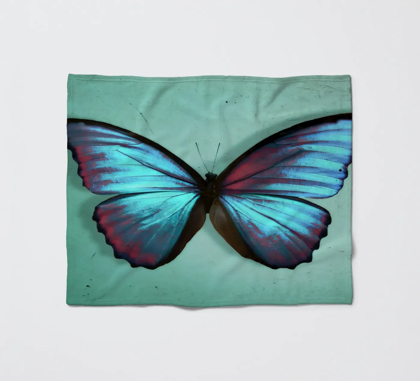 Farfalla coperta in pile da Eva Nev Photography