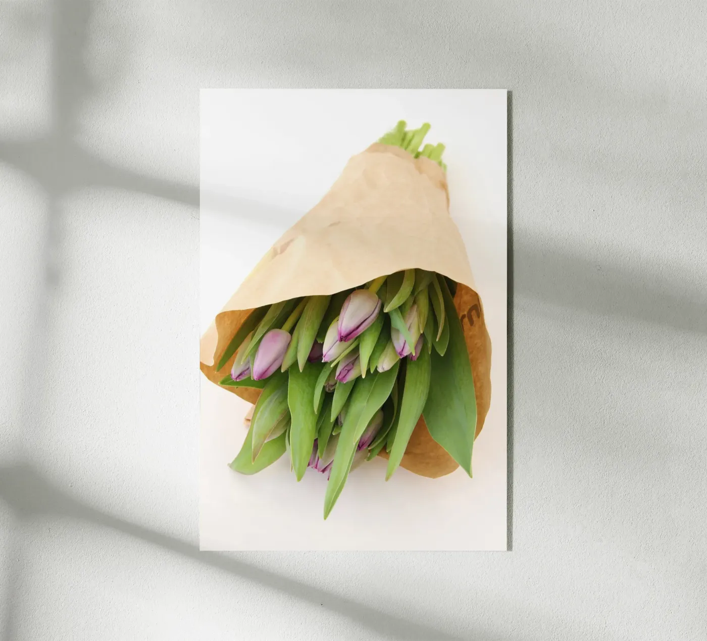 Purple tulips plexiglass da Soul Traffic