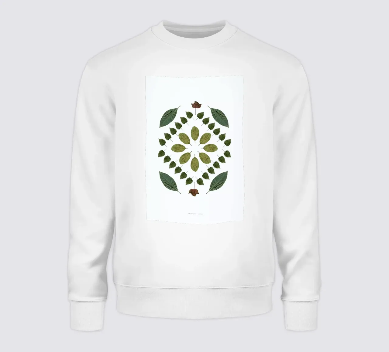 Botanicals 2 felpa da The Wall Shop