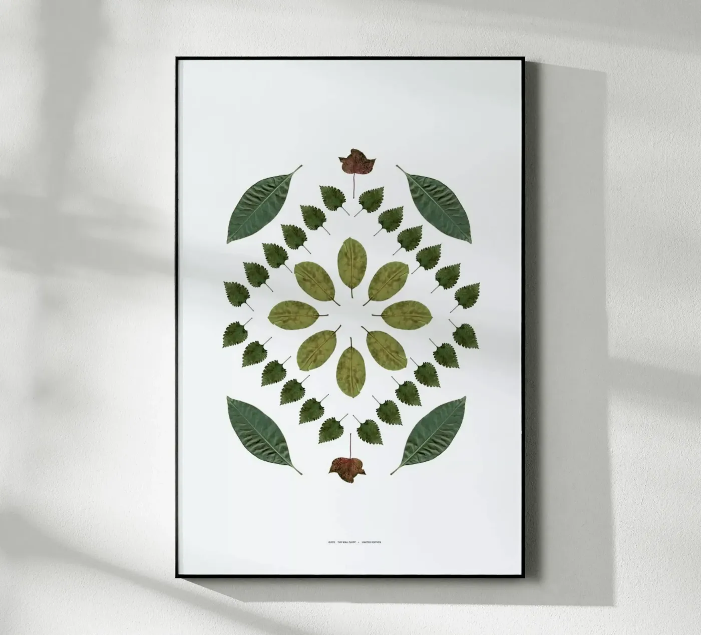 Botanicals 2 acrylic glass by The Wall Shop