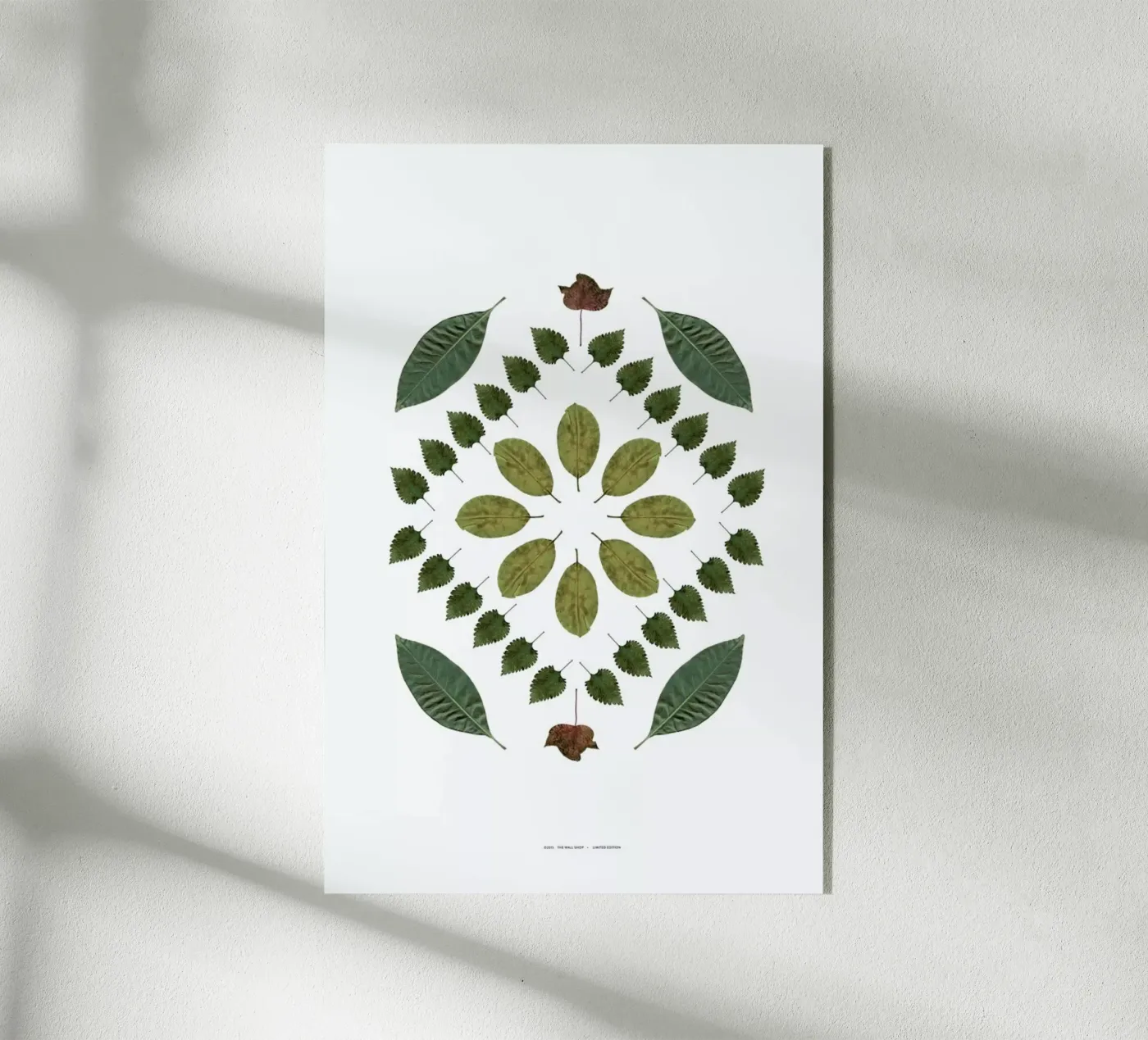 Botanicals 2 plexiglass da The Wall Shop