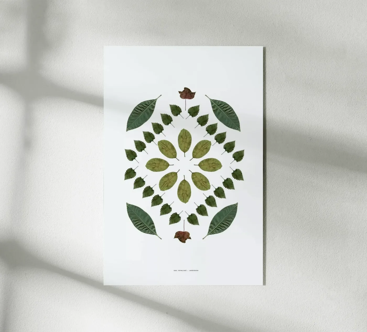 Botanicals 2 acrylic glass by The Wall Shop