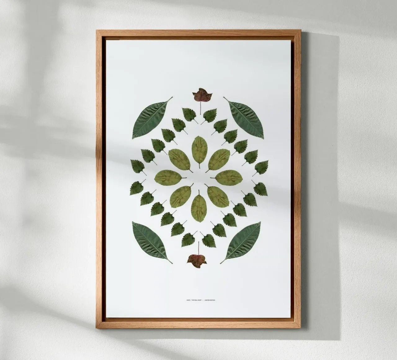 Botanicals 2 tela con Cornice a cassetta da The Wall Shop