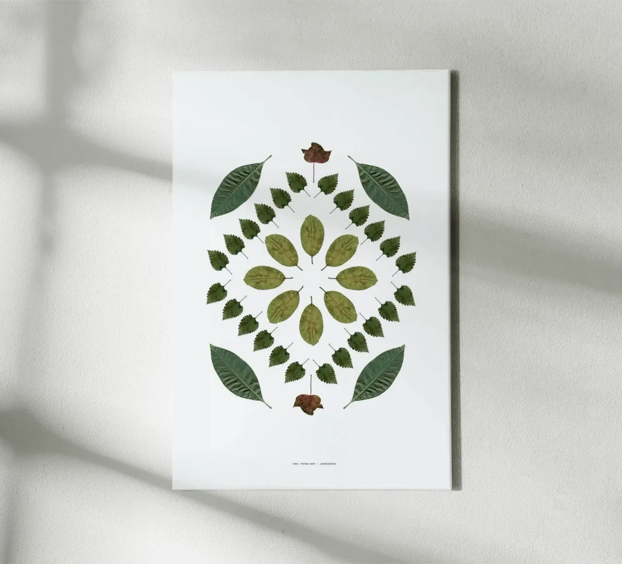Botanicals 2 tela con Cornice a cassetta da The Wall Shop