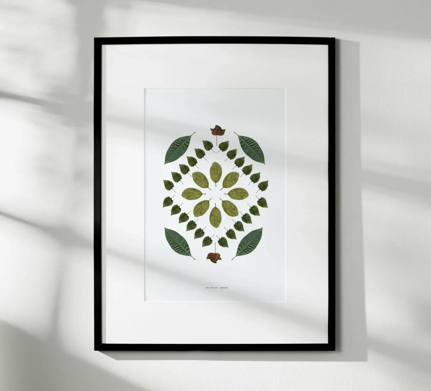 Botanicals 2 poster da The Wall Shop