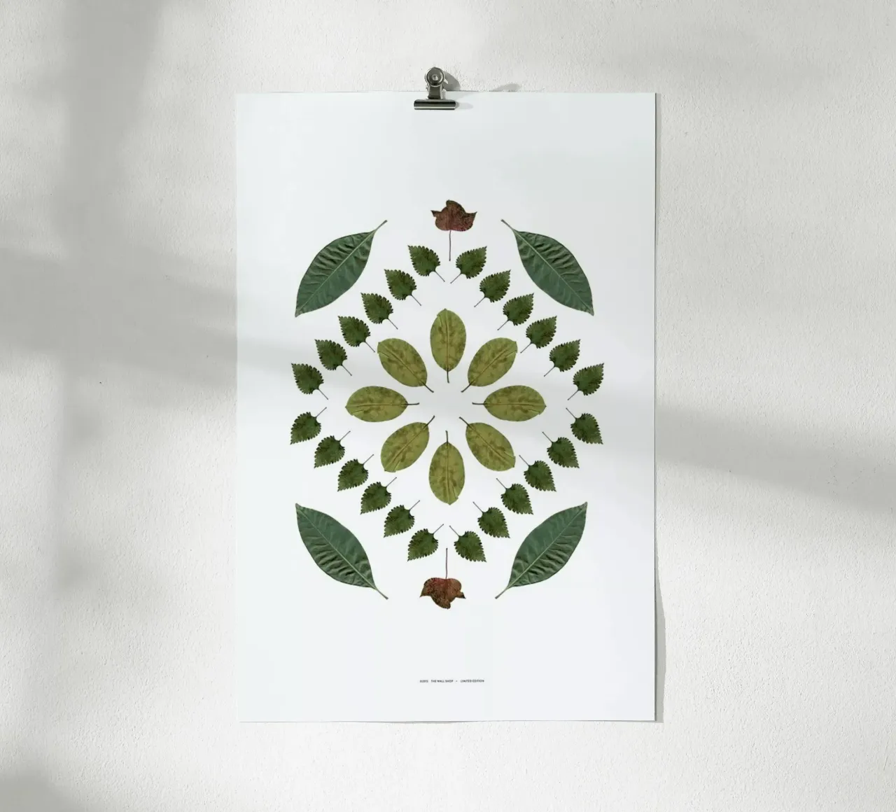 Botanicals 2 carta hahnemühle da The Wall Shop