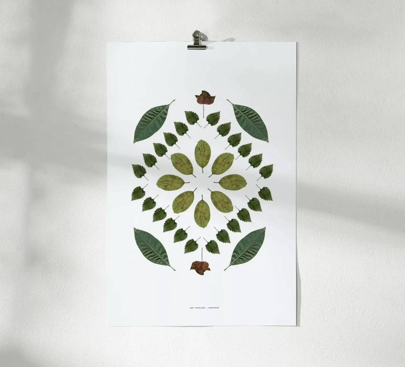 Botanicals 2 poster da The Wall Shop