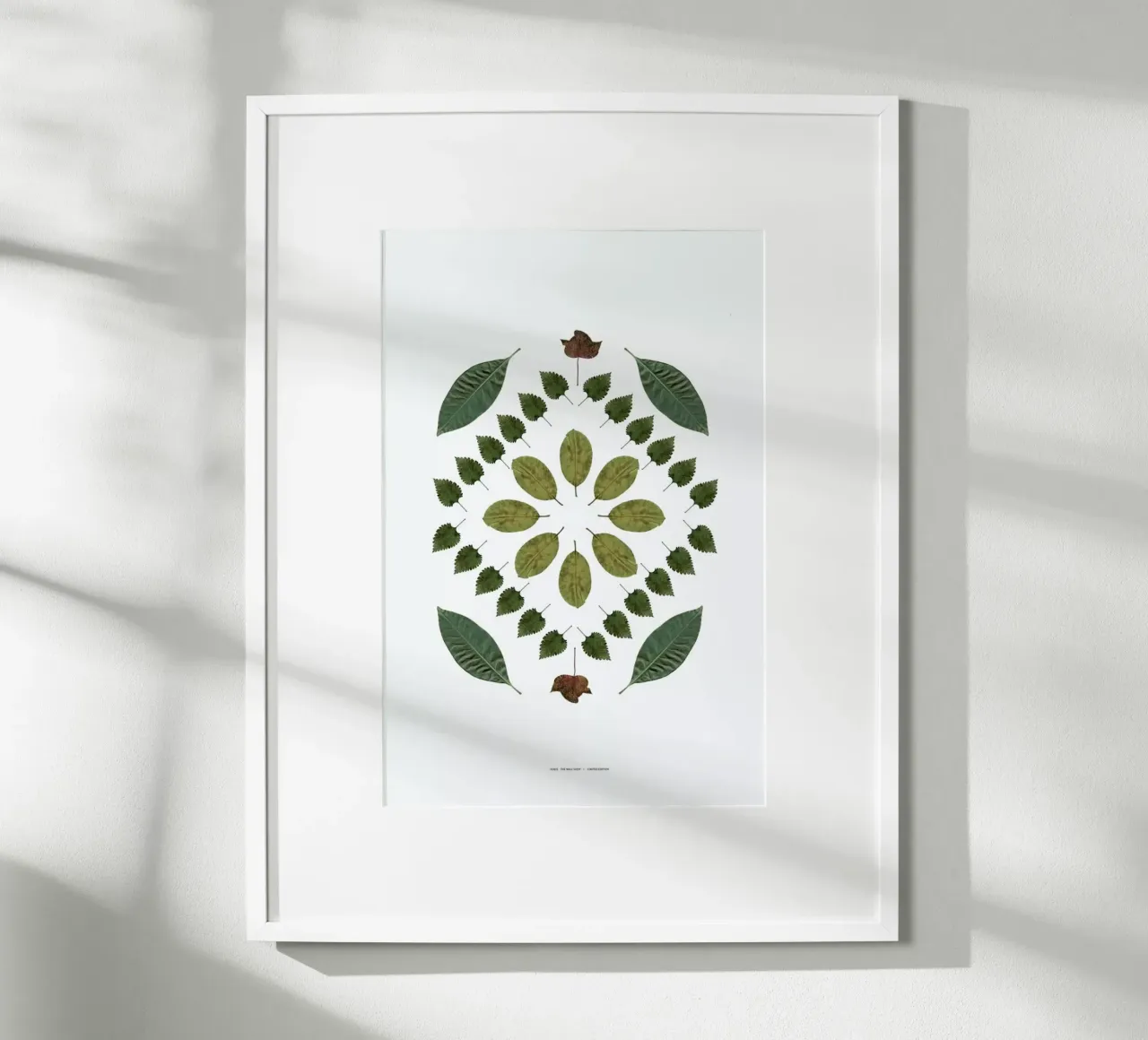 Botanicals 2 carta hahnemühle da The Wall Shop