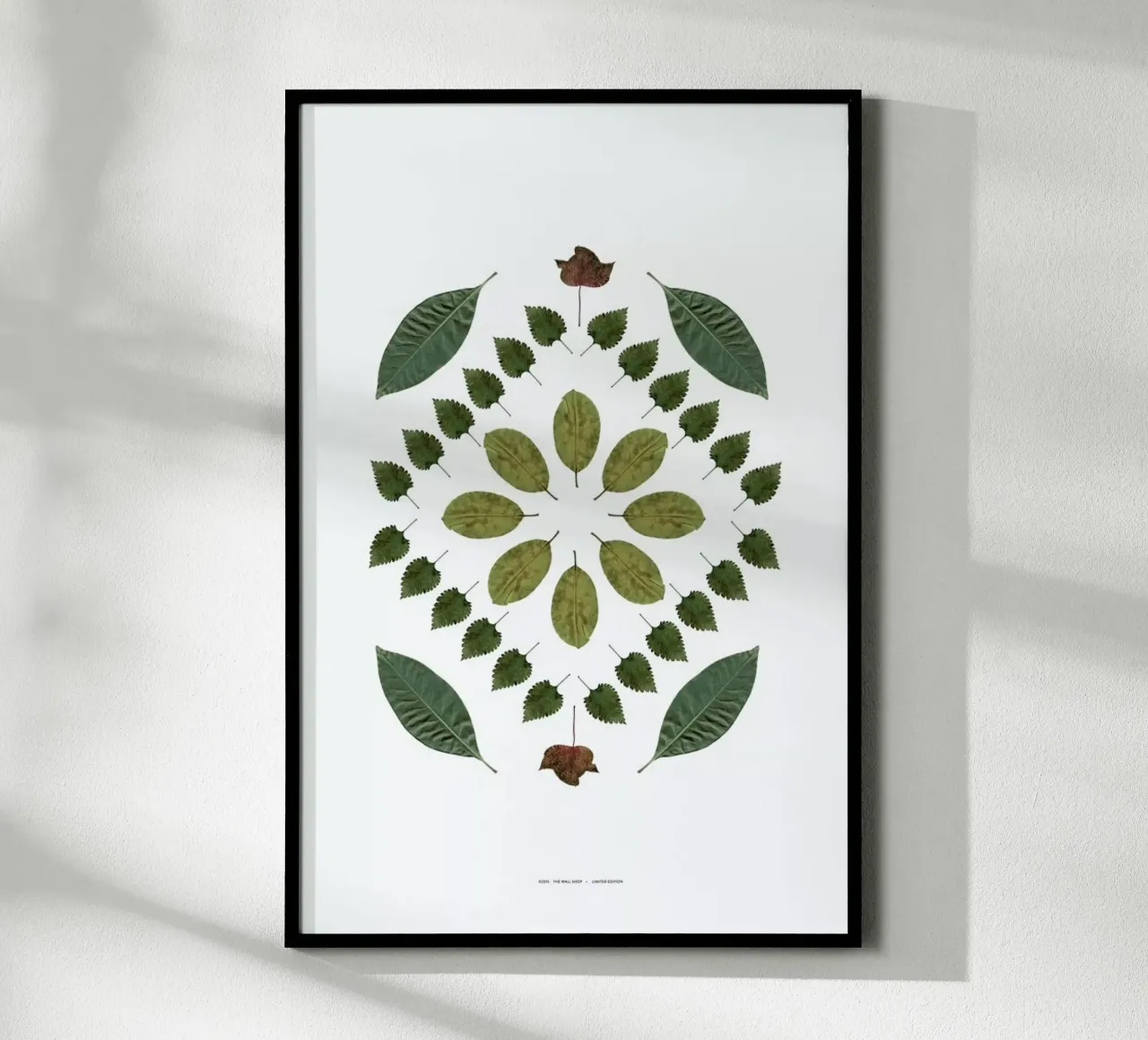 Botanicals 2 poster da The Wall Shop
