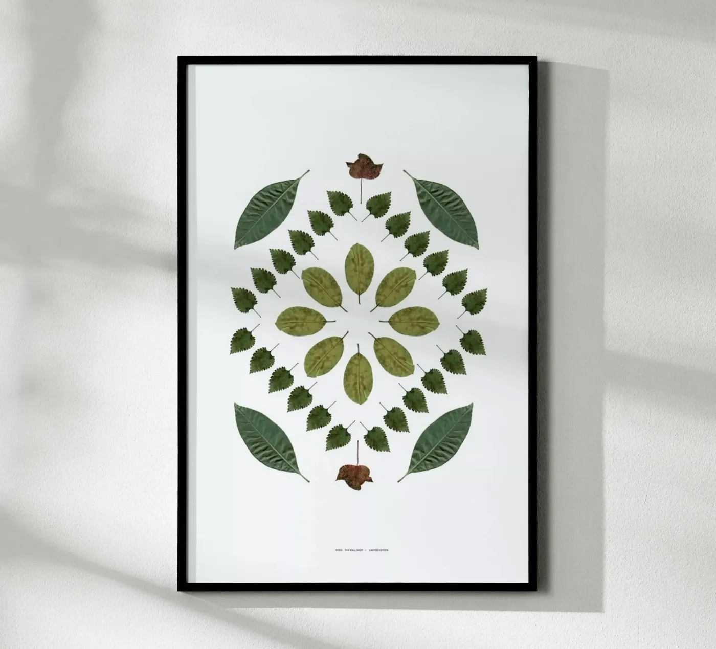 Botanicals 2 poster da The Wall Shop