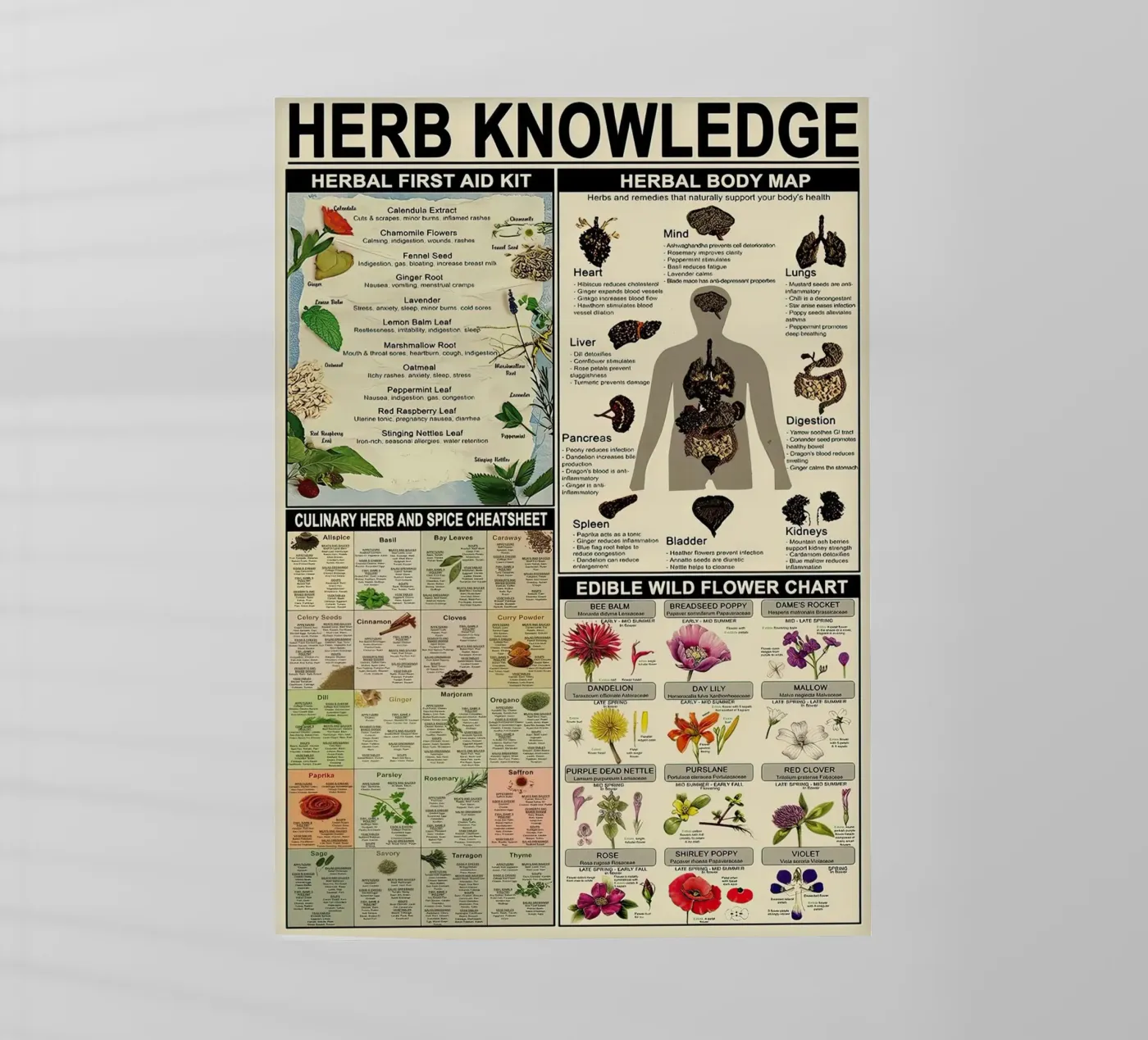 Herb Knowledge backlit folie van Maritiknowled