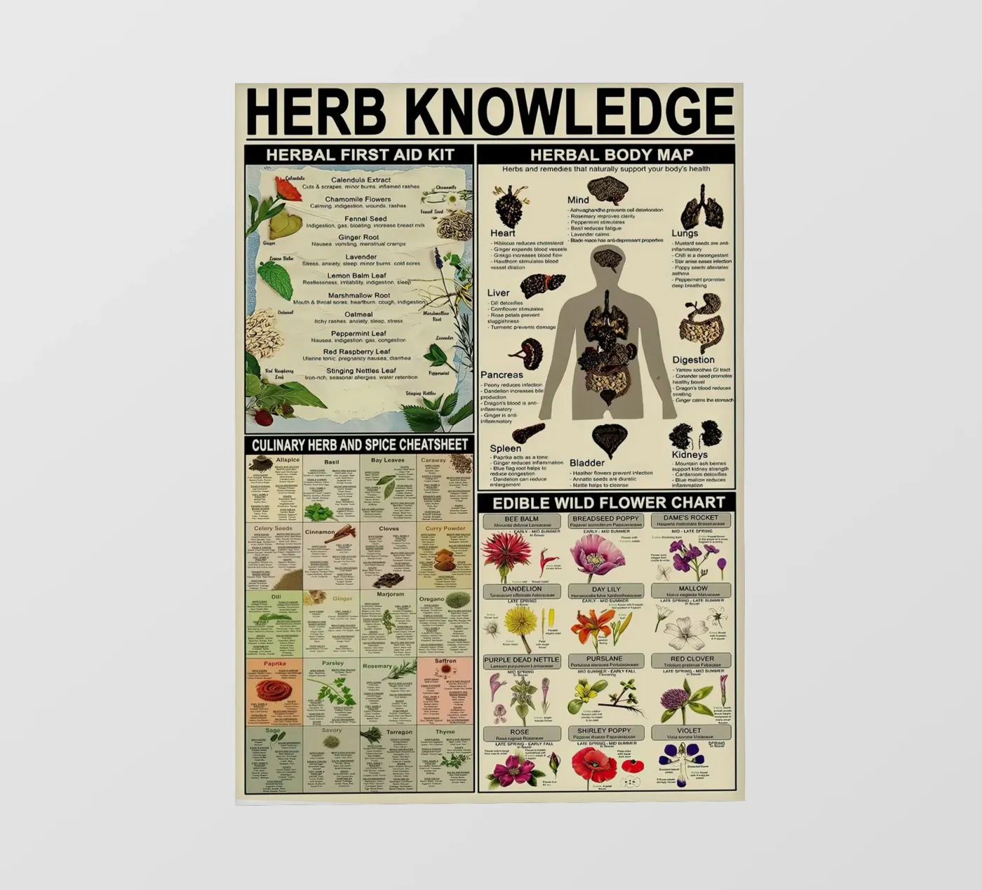 Herb Knowledge backlit folie van Maritiknowled