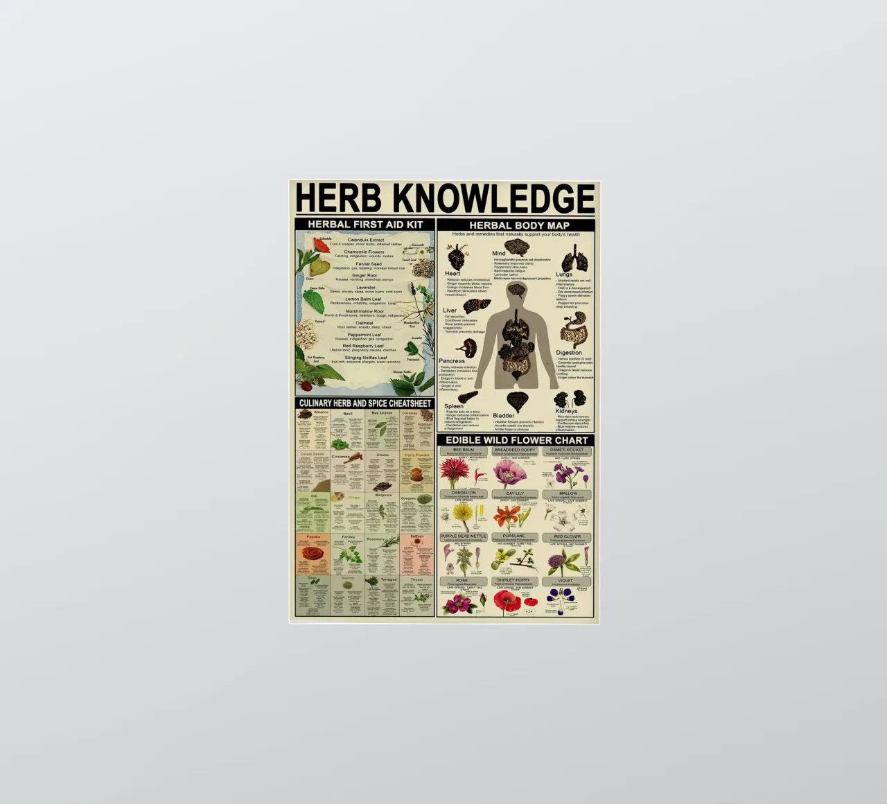 Herb Knowledge sticker by Maritiknowled
