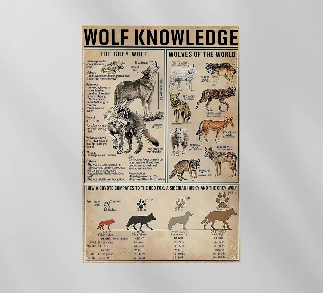 Wolf Knowledge backlit folie van Maritiknowled