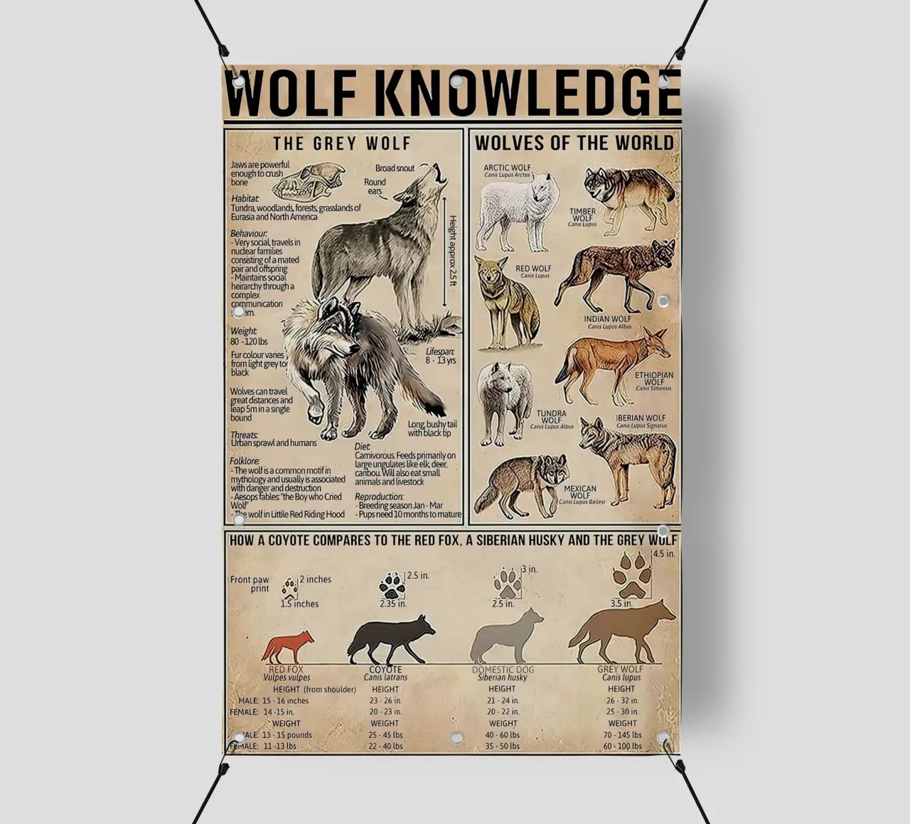 Wolf Knowledge PVC Plane von Maritiknowled